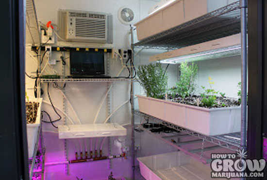 Vegetable Grow Cabinet