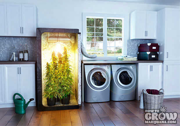 Simple Marijuana Grow Box