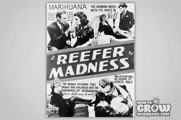 Propaganda Marijuana deemed Harmful without Evidence