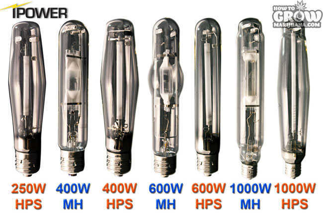 iPower Grow Light Bulbs