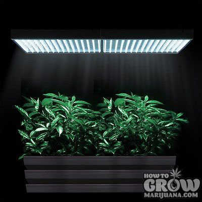 grow-box-lighting-stealth