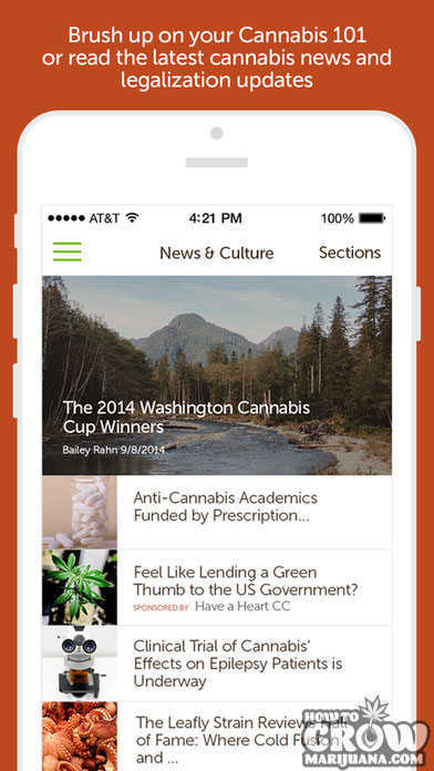 leafly-marijuana-strain-dispensary-news